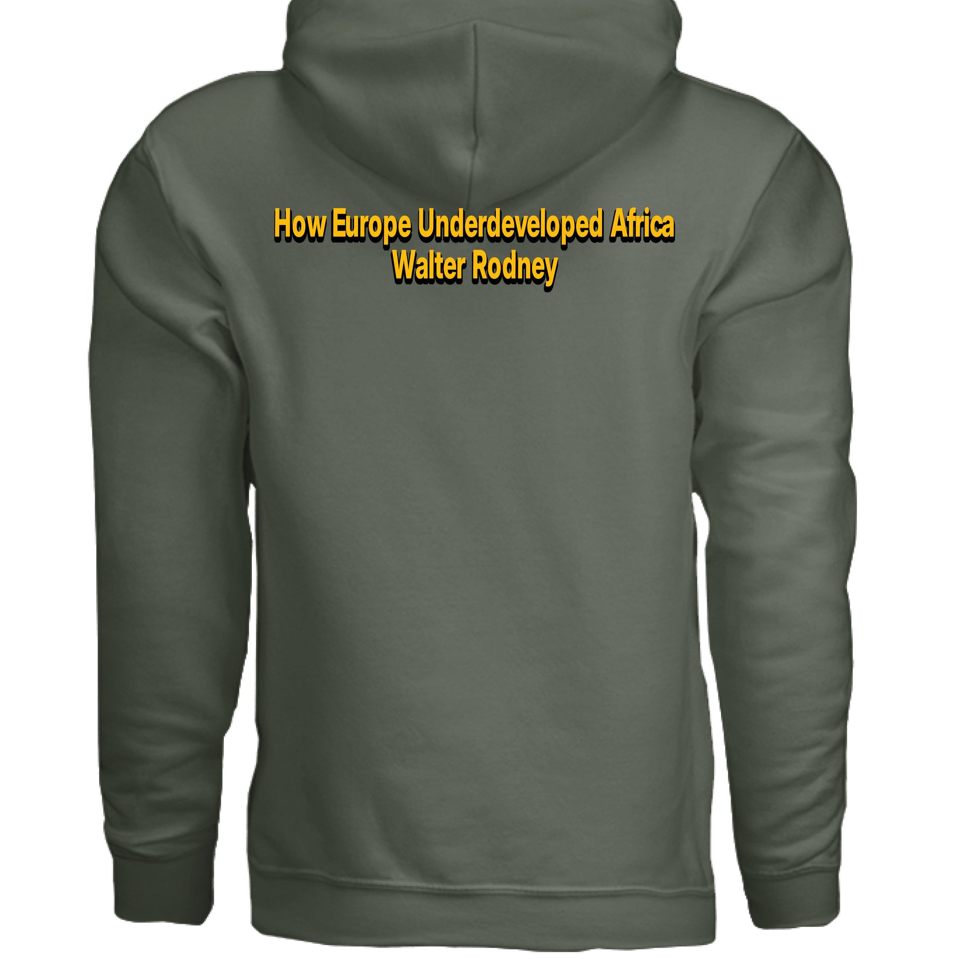 Go Back and Fetch It Roots & Culture Hoodie - TEEDRA