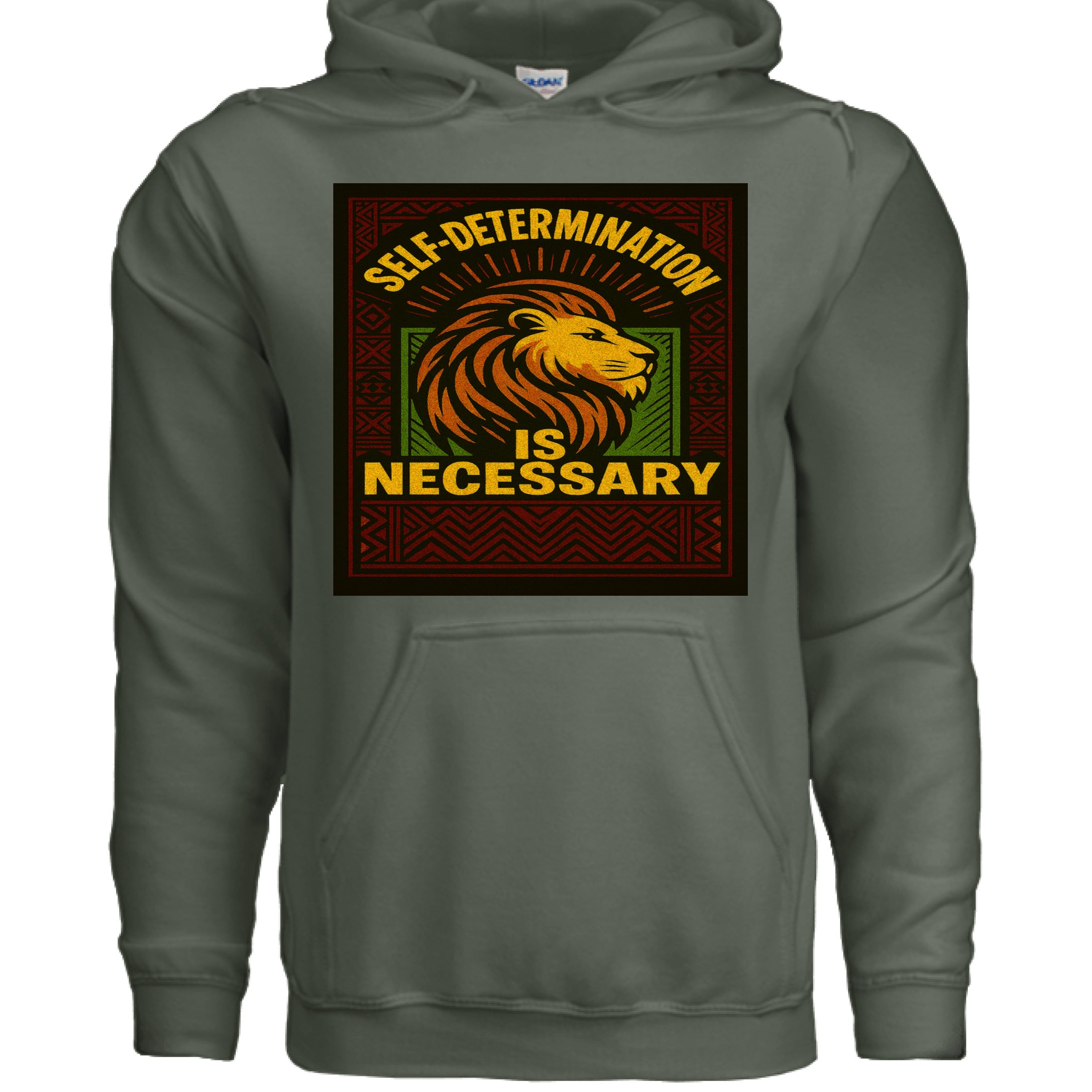 Self Determination is Necessary Hoodie - TEEDRA